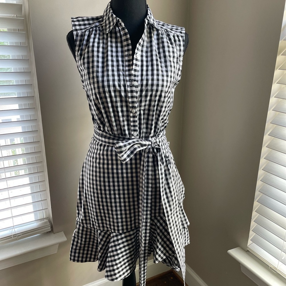 Express Gingham Dress 4 NWT